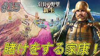 【信長の野望新生】兵は神速を貴ぶ！お市様を何としても護りたい家康　電光石火の進軍し猿を驚かせる！ｗ越前大返しが始まるｗ#15【上級】