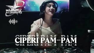 Download lagu LAGU_ACARA_PARTY CIPERI PAM-PAM BAY FALDON_ REMISTYLE  mp3