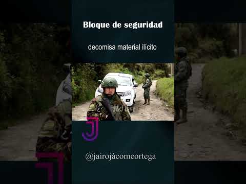 Decomiso de material ilícito