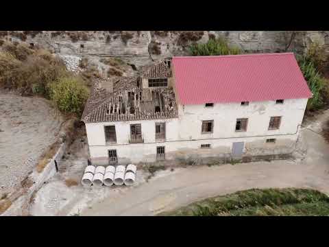 video image