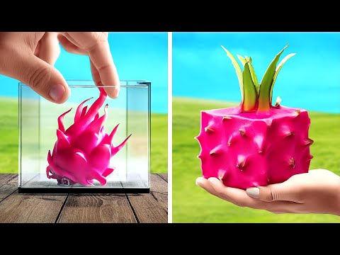 Cultiva frutas y verduras en casa: trucos de jardinería profesional