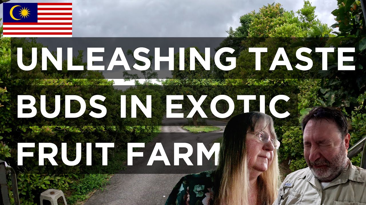 Embark on an adventure through the lush Penang Tropical Fruit Farm.