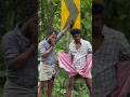 O Pilaga Venkatesh Trending Dance Reels 2024