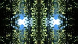Slide - Synapse Stroker