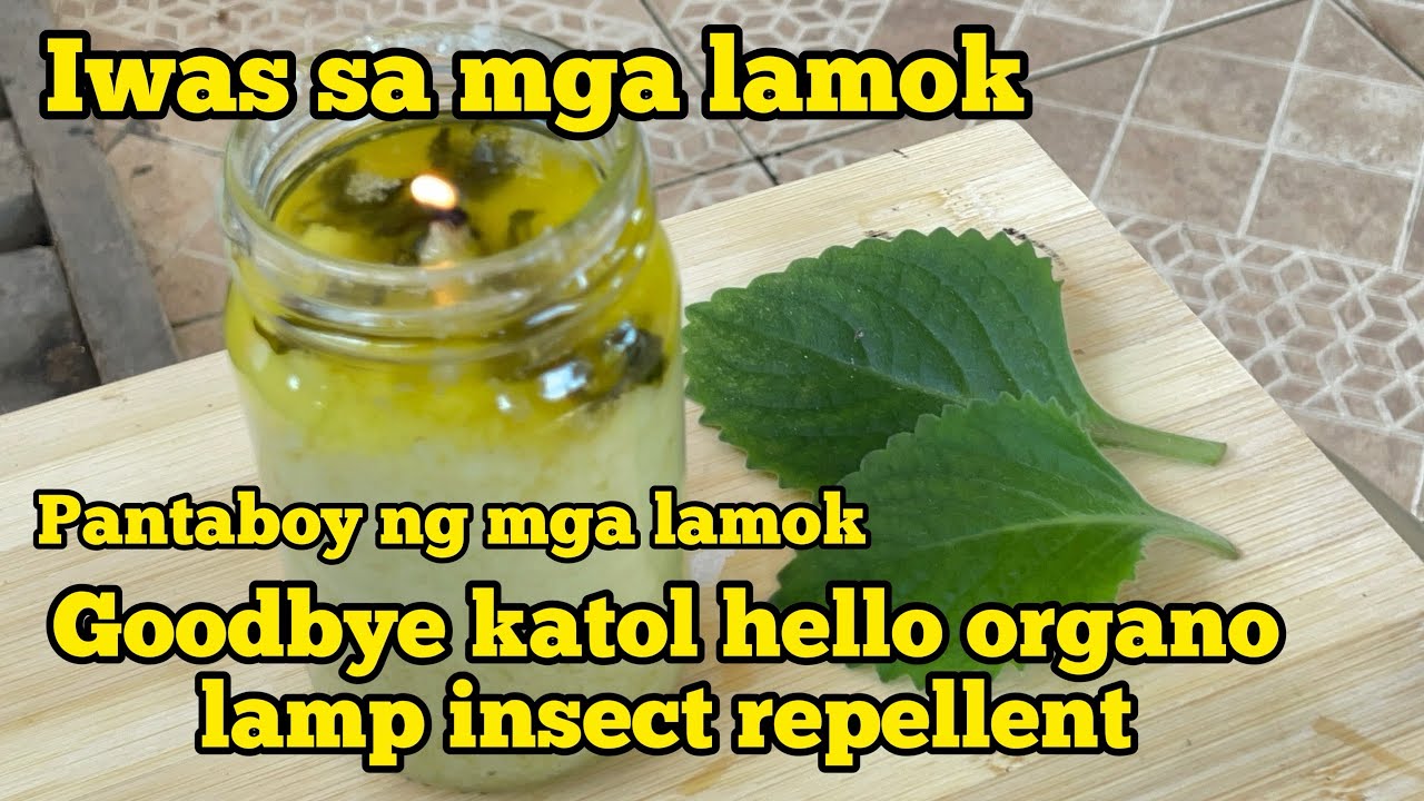 Anti Dengue - ITO PALA ANG KONTRA SA MGA LAMOK | PAG GAWA NG OREGANO LAMP