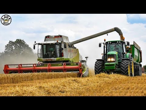 ŽNĚ 2019 / Harvest / Moisson - Ozimá pšenice | 2x Claas Lexion 550 | ZEAS Podorlicko Trnov a.s.