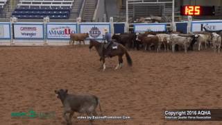 A Judge&#39;s Perspective: 2016 Select Cutting World Champion