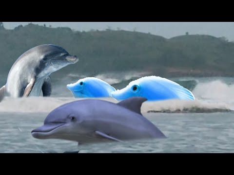 Relax for a moment with the sound of the beach waves,relax in nature