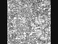 Rudimentary Peni - C12 H22 011 