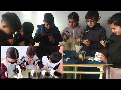 FERIA DE CIENCIAS 2026