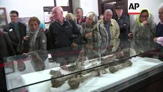 Luxury train arrives in Iran carrying new opportunities for the country's tourism industry