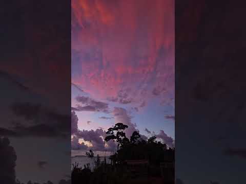 Colores del Corcovado