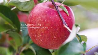 木村木品製作所とりんご