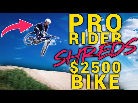 Polygon T8 Meets Pro Rider
