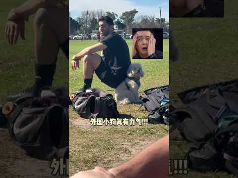 摄影界来了个天才！！