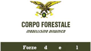Corpo Forestale - Modellismo Dinamico