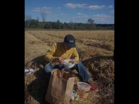 Wb Lub Tsev Nqeeb Cover