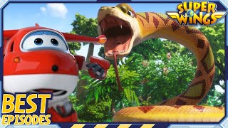 Download lagu [SUPERWINGS Best] Wild Animal Adventure | Superwings | Super Wings | Best Compilation A31 mp3