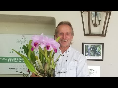 , title : 'Preguntas y respuestas sobre orquídeas, con Daniel Piedrahita'