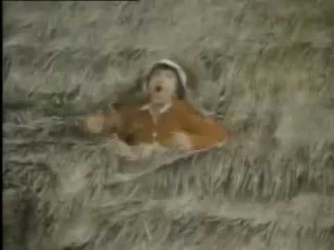 Rescue From Gilligan's Island   Full Movie