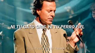 Ni Tu Gato Gris, Ni Tu Perro Fiel (Letras) - Julio Iglesias