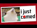 CURSED JACKBOX