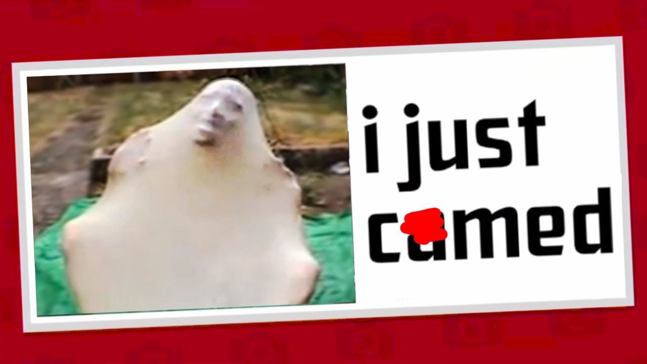 CURSED JACKBOX
