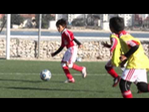 BENFICA FAVOLAS - Benfica Escolas - Convivio do Benfica no Seixal HD