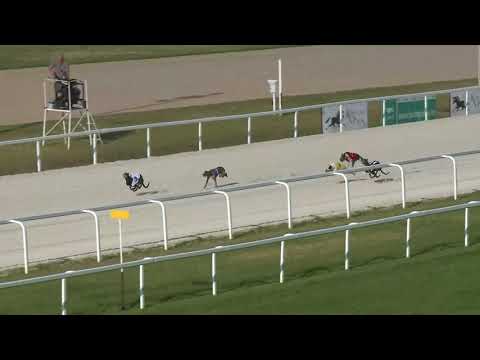 2018.05.20. - Agár verseny