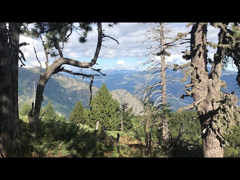 Vom Mittelmeer zum Atlantik 3, GR11 Tage 5-7, Pyrenäendurchquerung ultralight