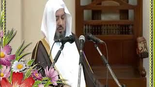 صورة 192 تعريف النّهي