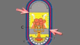 The phenomenon of corrosion into the gasification boilers (ENG)