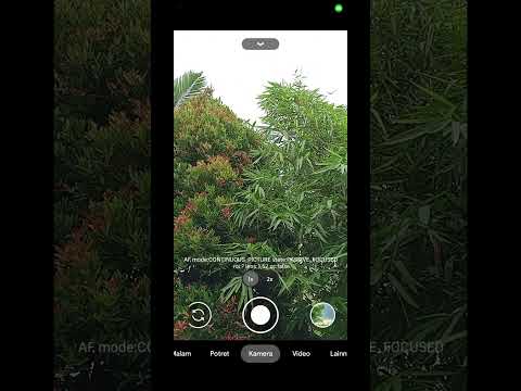 coba aplikasi Gcam di hp Oppo A38 ternyata ga kalah keren dari iPhone #fyp #oppoA38 #oppo #Gcam