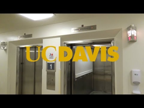 Nice Bells! Haughton Traction Elevators-East Tower-UCDMC-Sacramento, CA