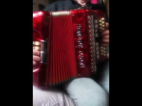 Rosin the Bow. Paolo Soprani Accordion.