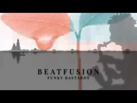 [PAROV STELAR] Beatfusion - Funky Bastards (Best of ELECTRO SWING & NU-JAZZ, Vinyl only DJ-SET)