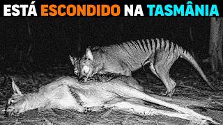 🚨 Por isso está ESCONDIDO na ilha mais ISOLADA da Austrália: TASMÂNIA