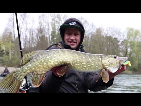 Betting debts are debts of honor | Pike fishing from a belly boat