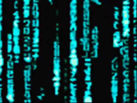 Bump vs Rhythm Foundation - Rushin the whole world.