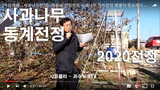 [사과재배ㅡ전정]