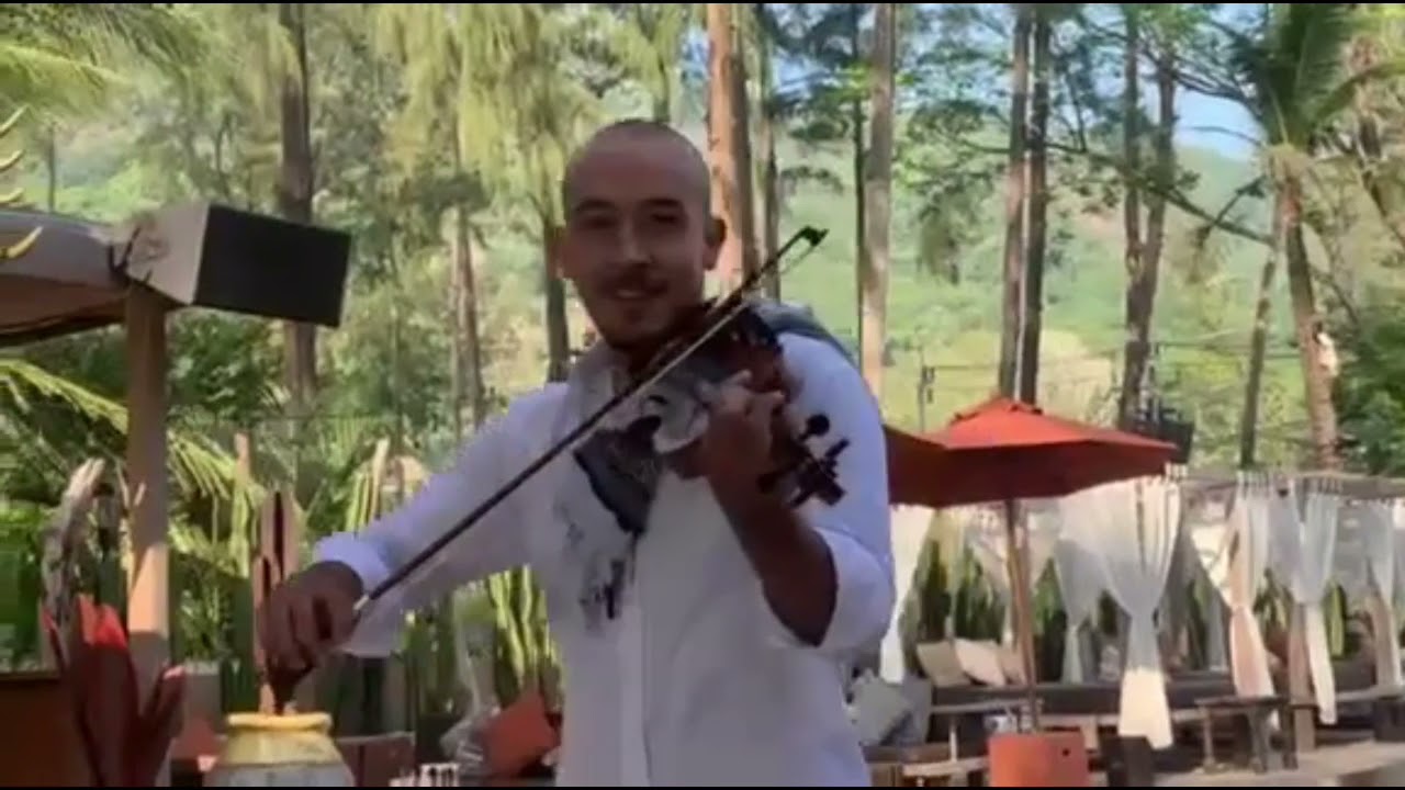 Promotional video thumbnail 2 for Violin DJ