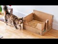 Litter One Self Contained Natural Cat Litter