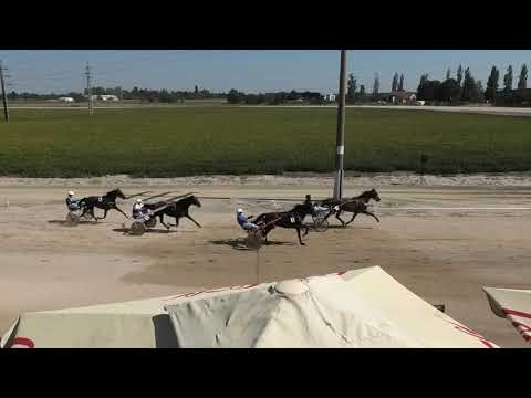 Trka "Booster Winner" 29.08.2020 Eugenie du Citrus - Goran Matković