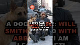A Dog's Tale: Will Smith's Bond with Abbey on 'I Am Legend' Set! 🐶🌟 #shorts