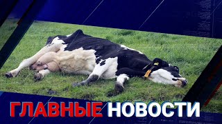 30.07.2021 21:00 Главные новости