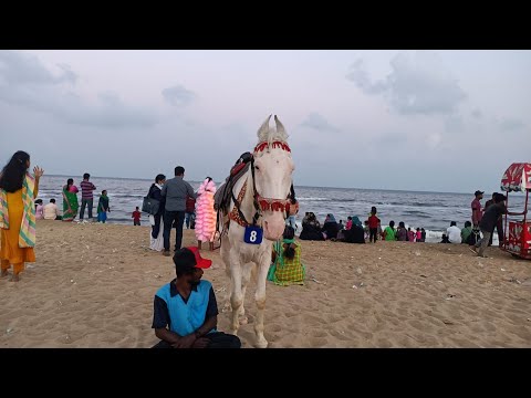 India's Largest Beach / Marina Beach