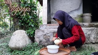 Download lagu Masak di Desa || Sayur Lodeh Pepaya (Papaya) mp3 Download lagu Masak di Desa || Sayur Lodeh Pepaya (Papaya) mp3