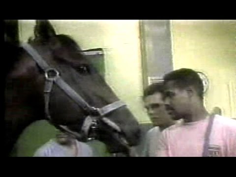 VERSET'S JET - Reportaje Sobre Operación - 4 Marzo 1994