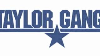 Mean Planes &amp; Taylor Gangs (Wiz Khalifa ft Taylor Swift)-Brenton Duvall