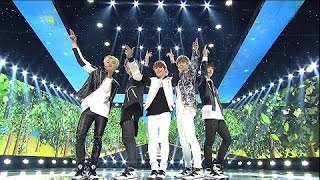 A .CIAN 에이션   Touch 손이가요  Dream Concert 2016